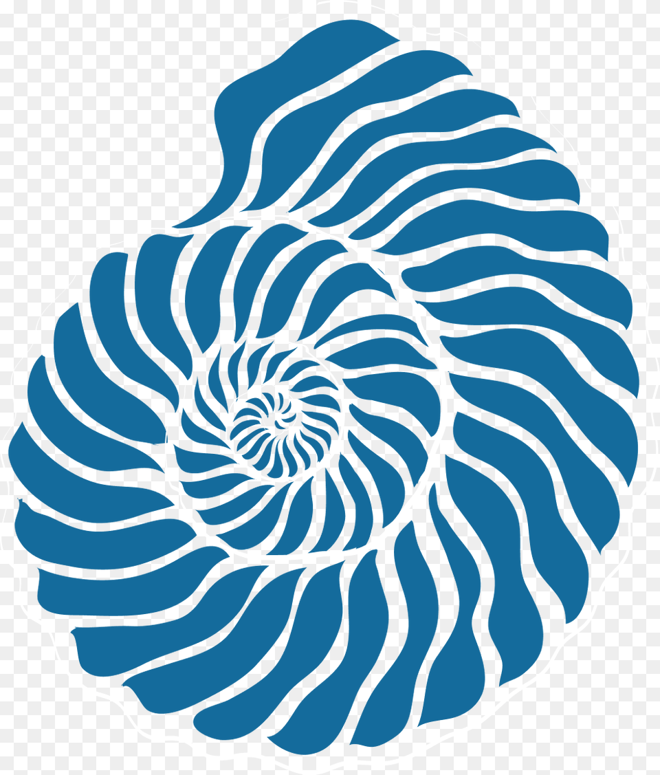 Gear, Coil, Spiral, Animal, Mammal Png