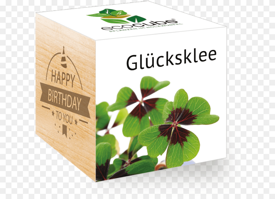 Geburtstag Happy Birthday To You Feel Green We Create Kleine Weihnachtsgeschenke, Herbal, Herbs, Leaf, Plant Png Image