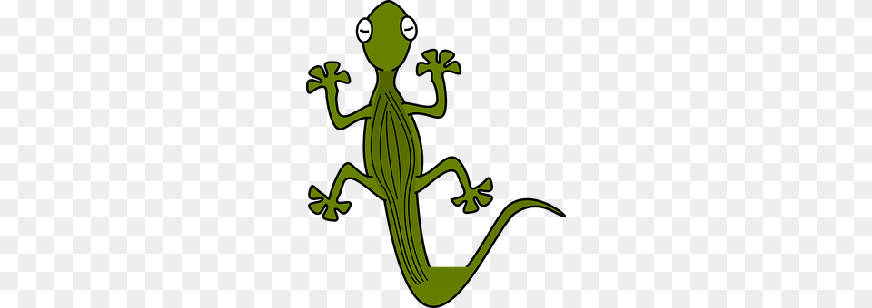 Gecko Animal, Lizard, Reptile, Green Lizard Png
