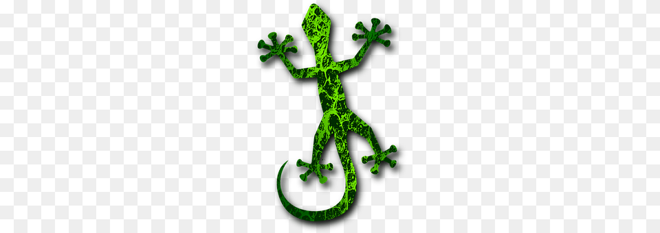 Gecko Animal, Lizard, Reptile, Cross Png Image