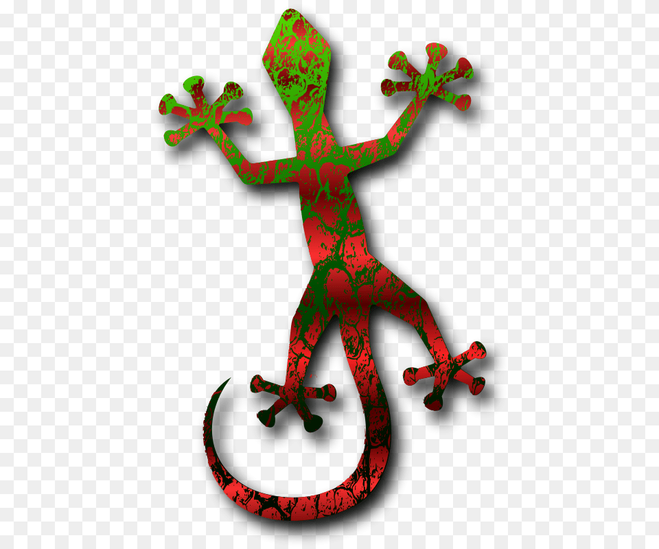 Gecko 2 By, Animal, Lizard, Reptile, Cross Free Png Download