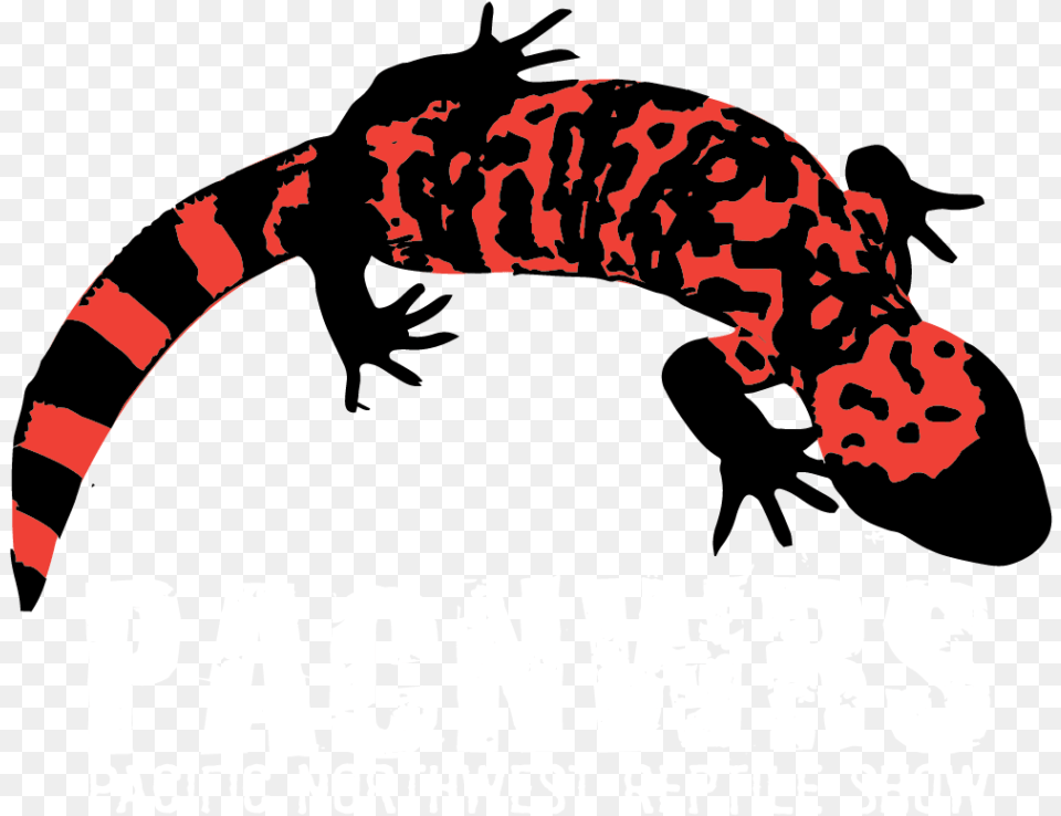 Gecko, Advertisement, Poster, Adult, Male Png