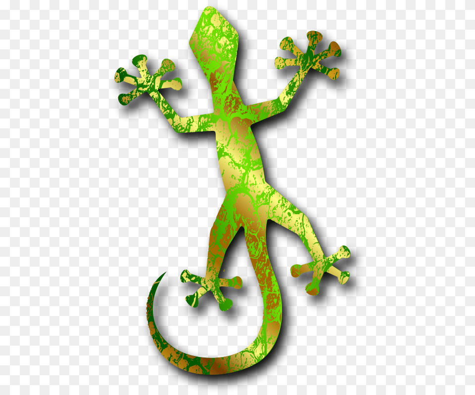Gecko 3 By, Animal, Lizard, Reptile, Cross Free Png Download