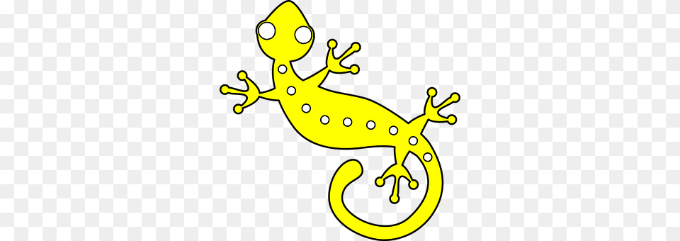 Gecko Amphibian, Animal, Salamander, Wildlife Png