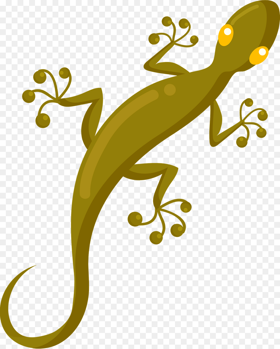 Gecko Clipart, Animal, Lizard, Reptile, Wildlife Png
