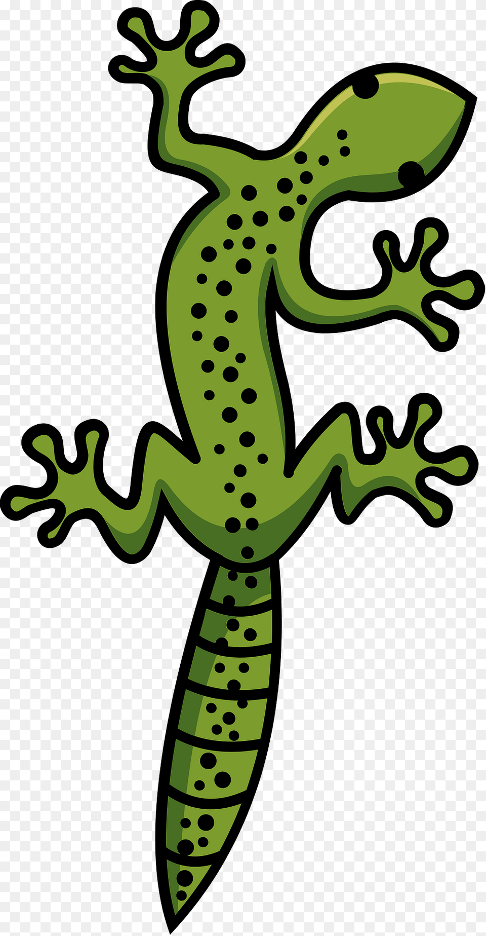 Gecko Clipart, Animal, Lizard, Reptile Free Png