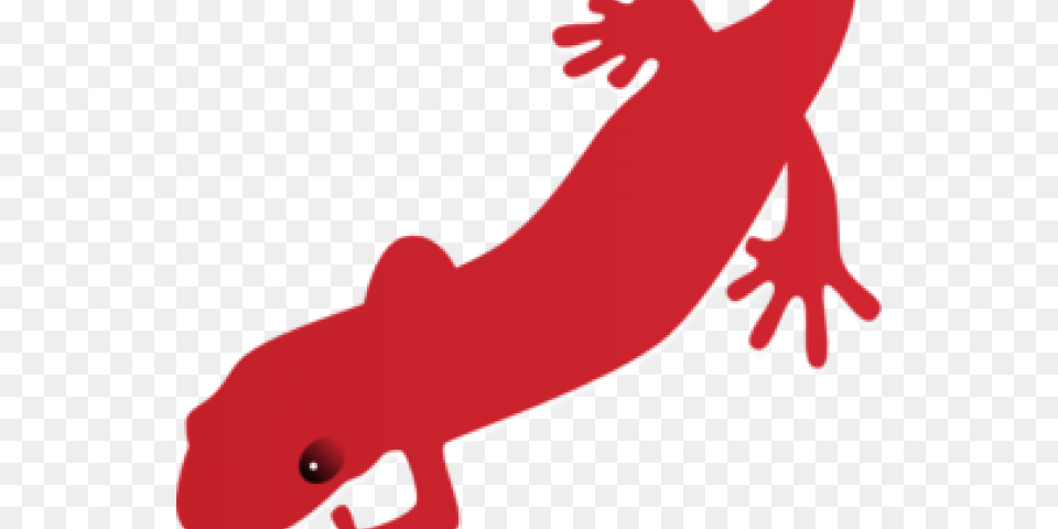 Gecko Clipart Pj Mask, Animal, Amphibian, Salamander, Wildlife Png
