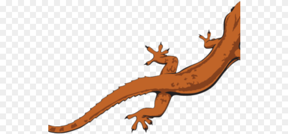 Gecko Clipart Transparent Background Lizard Clipart, Animal, Reptile, Amphibian, Salamander Png Image