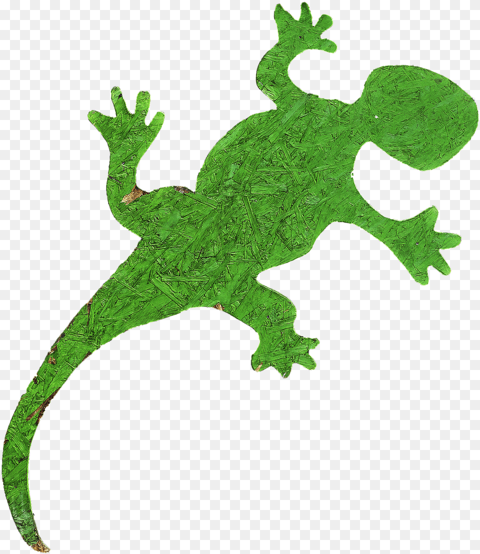 Gecko Holzfigur Figure International Year Of Forests 2011, Animal, Lizard, Reptile, Green Lizard Png Image