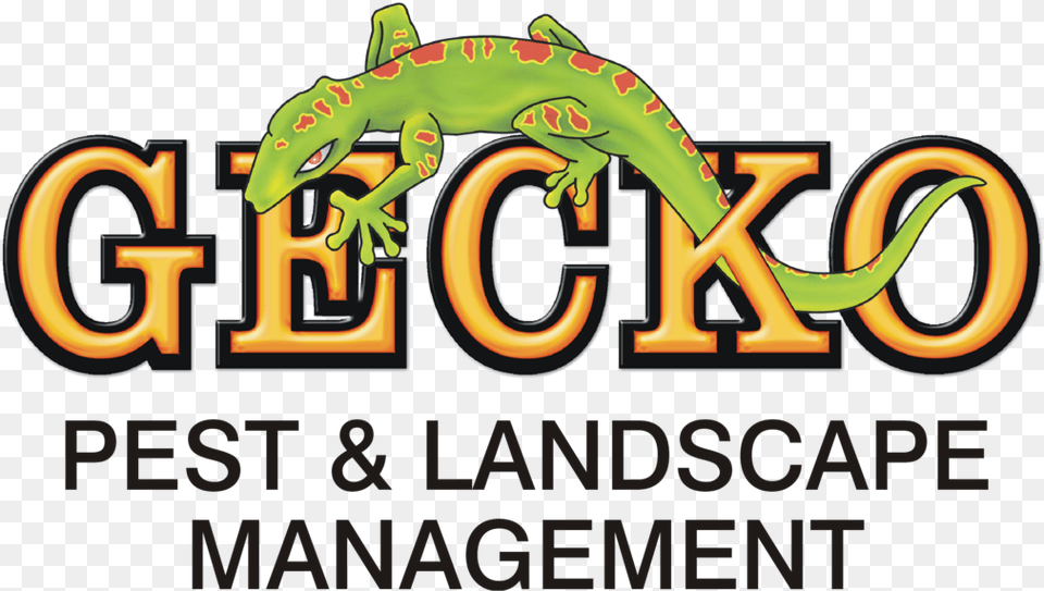 Gecko Pest Amp Landscape Management Gecko Pest Amp Landscape Management, Animal, Lizard, Reptile, Dynamite Png Image