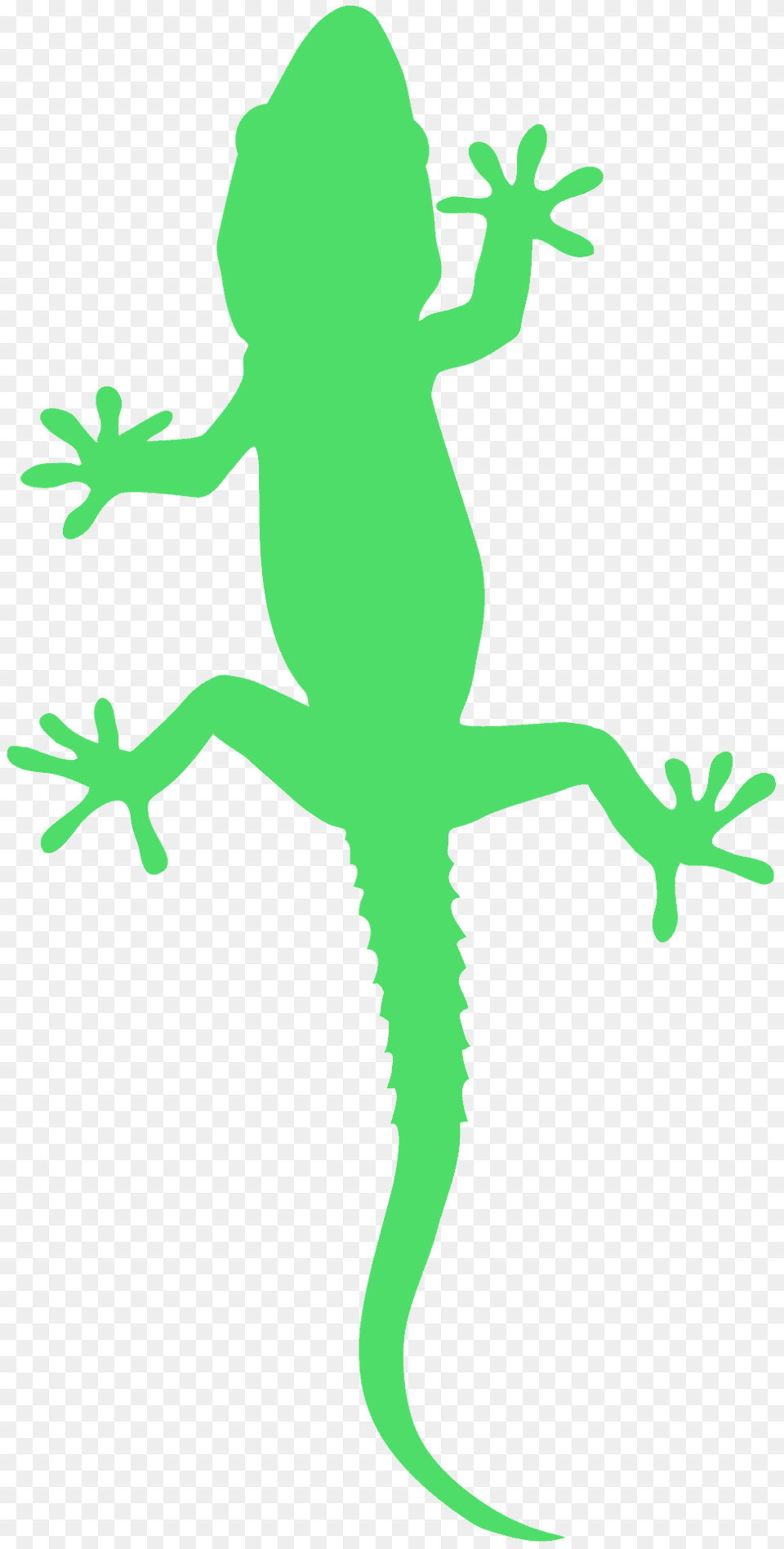 Gecko Silhouette, Animal, Lizard, Reptile Free Transparent Png