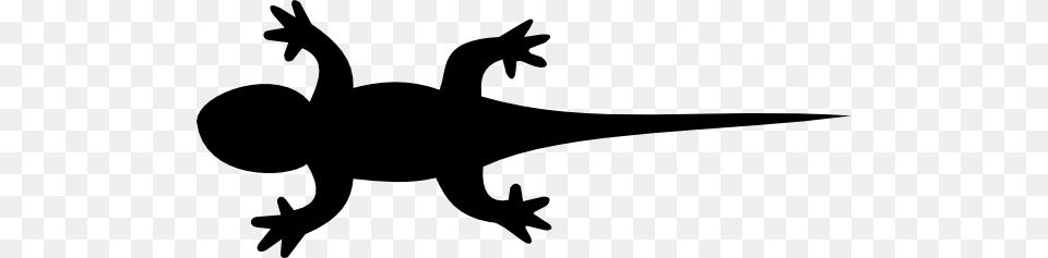 Gecko Silhouette Cliparts, Gray Png Image