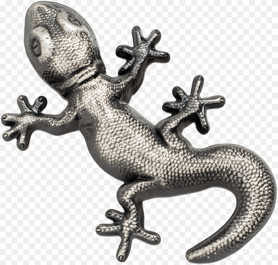 Gecko Silver Palau, Animal, Lizard, Reptile, Electronics Free Transparent Png