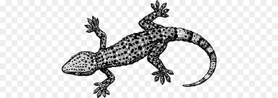 Gecko Tail Reptile Crawling Lizard Reptili Gecko Black And White, Gray Free Png