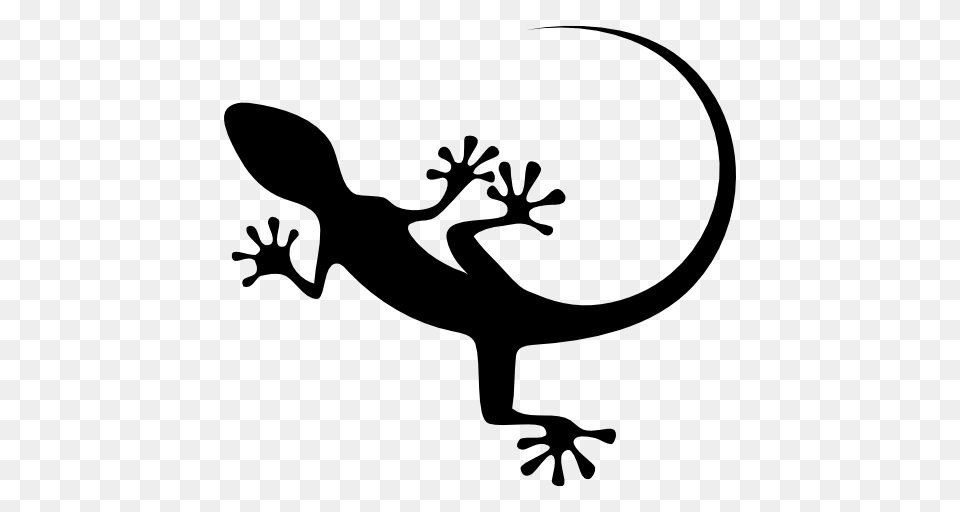 Gecko Top View Shape, Animal, Lizard, Reptile, Stencil Png Image