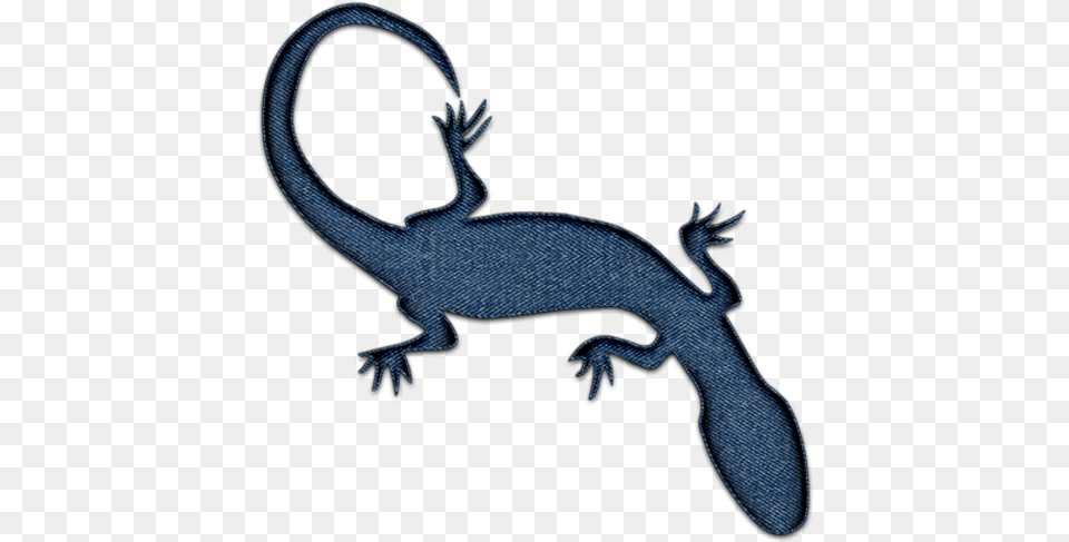 Geckos Picture Salamander Tattoo, Animal, Gecko, Lizard, Reptile Free Png Download