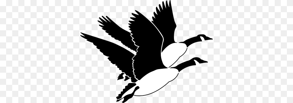 Geese Silhouette, Stencil Png