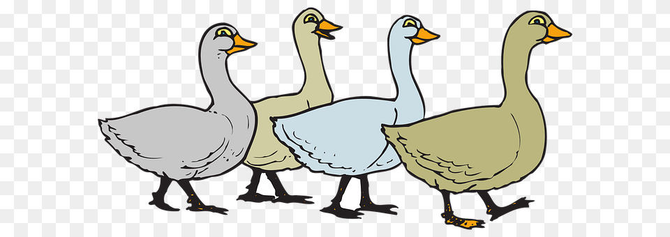Geese Animal, Bird, Goose, Waterfowl Free Png