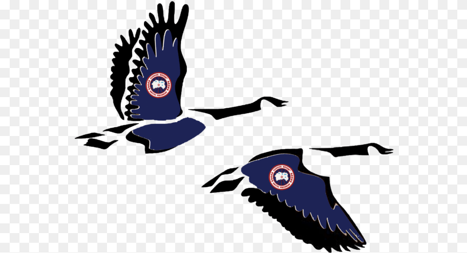 Geese Clip Art, Animal, Bird, Flying, Jay Free Transparent Png