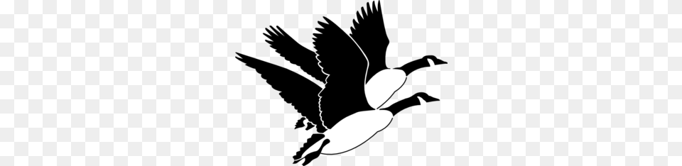 Geese Clip Art For Web, Silhouette, Stencil Png Image