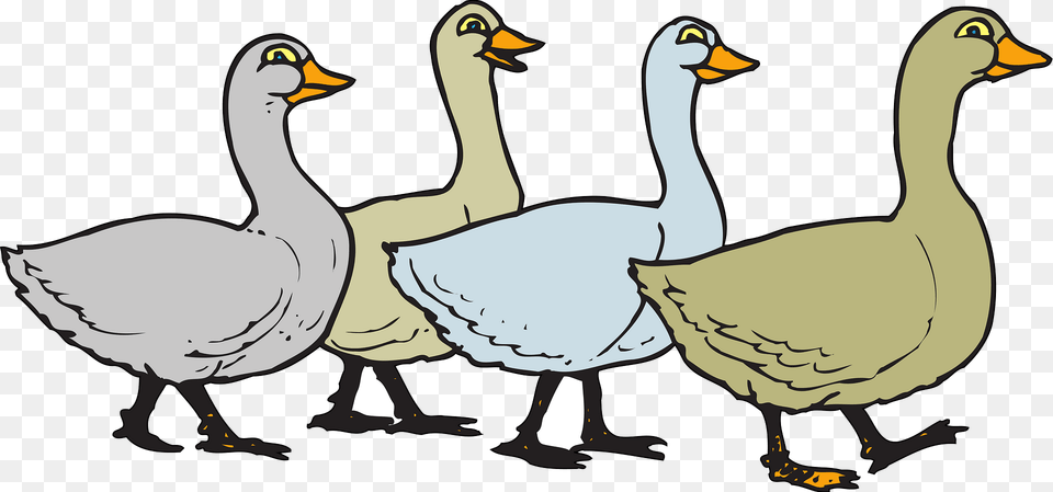 Geese Clipart, Animal, Bird, Goose, Waterfowl Png