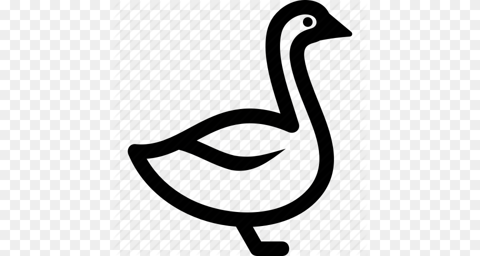 Geese Goose Grey White Icon, Animal, Bird, Waterfowl Png