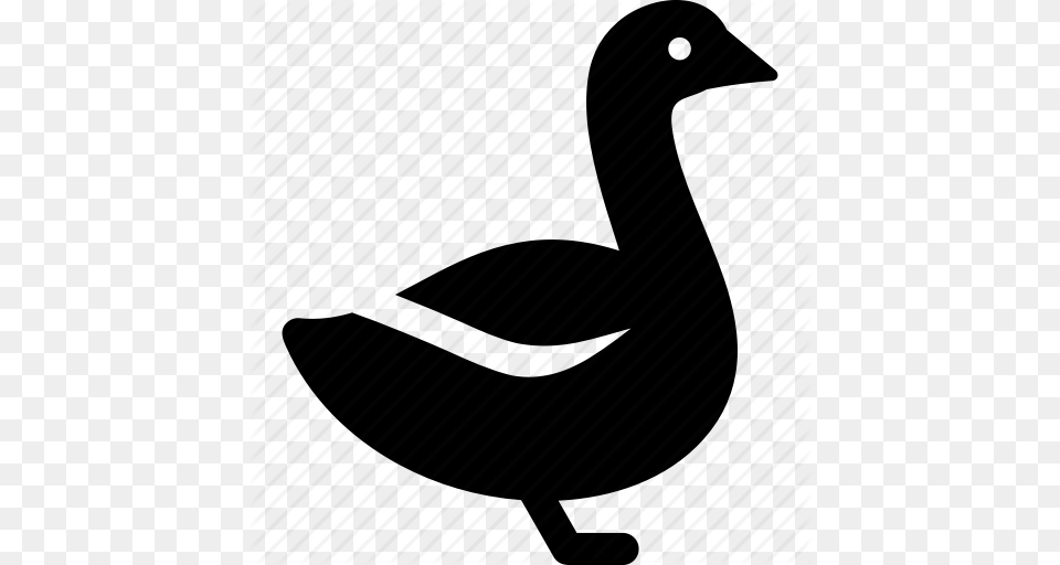 Geese Goose Grey White Icon, Architecture, Building, Animal, Bird Png Image