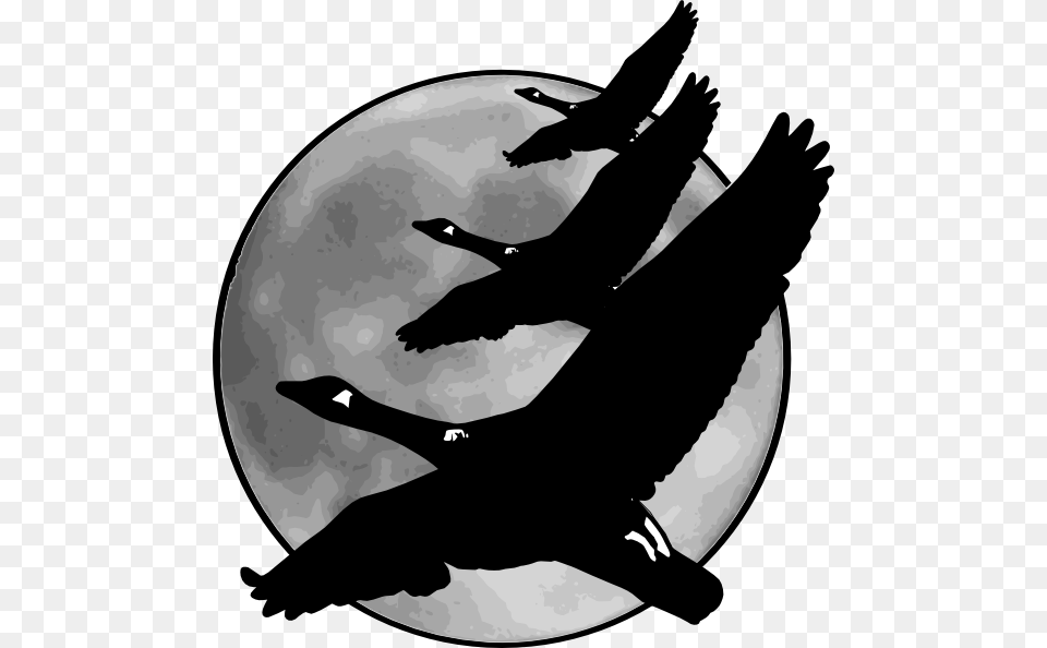 Geese In Front Of Moon Clip Art For Web, Silhouette, Outdoors, Night, Nature Png Image