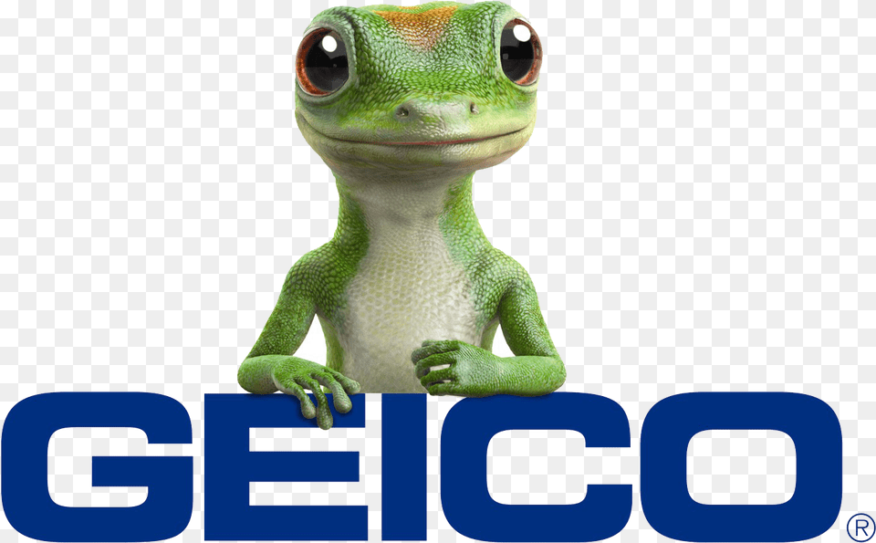 Geico Car Insurance, Animal, Gecko, Lizard, Reptile Free Transparent Png