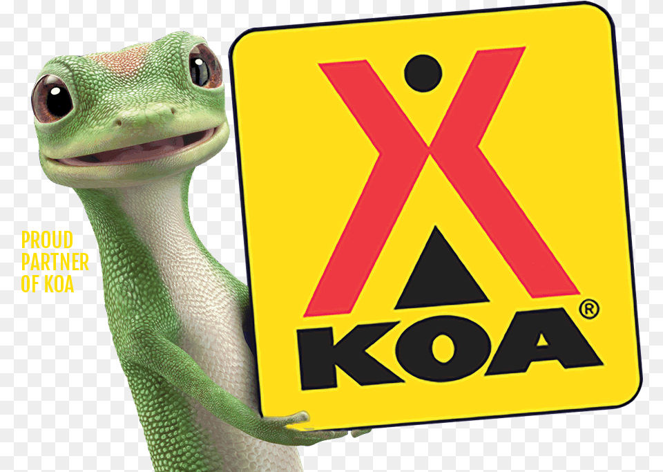 Geico Car Insurance Quote Koa Gift Card Online, Animal, Gecko, Lizard, Reptile Free Transparent Png