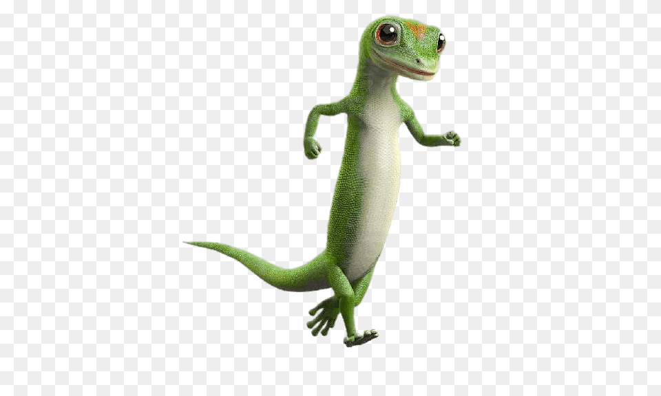 Geico Gecko Running, Animal, Lizard, Reptile, Green Lizard Free Png