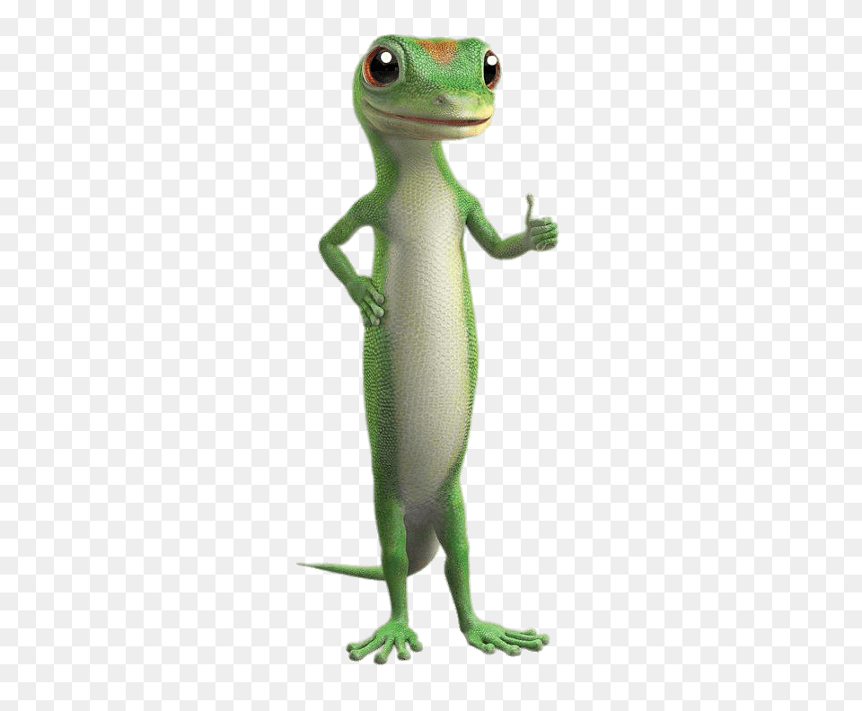 Geico Gecko Thumb Up, Animal, Lizard, Reptile, Green Lizard Free Transparent Png