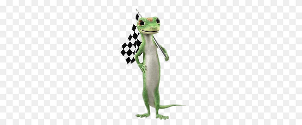 Geico Gecko With Race Flag, Animal, Lizard, Reptile, Wildlife Free Png Download