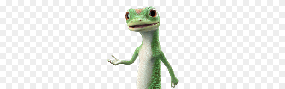 Geico Ghecko Character Explaining, Animal, Gecko, Lizard, Reptile Png Image