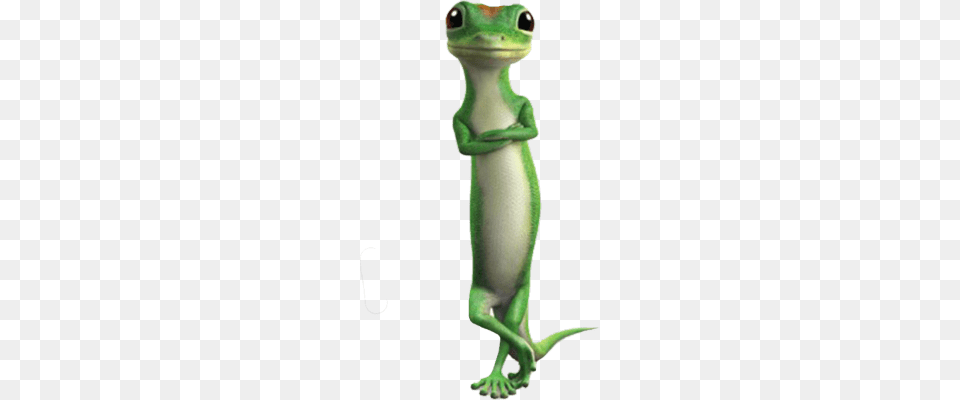 Geico Ghecko Character Standing, Animal, Gecko, Lizard, Reptile Free Transparent Png