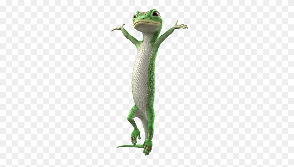 Geico Happy Gecko, Animal, Lizard, Reptile, Green Lizard Png