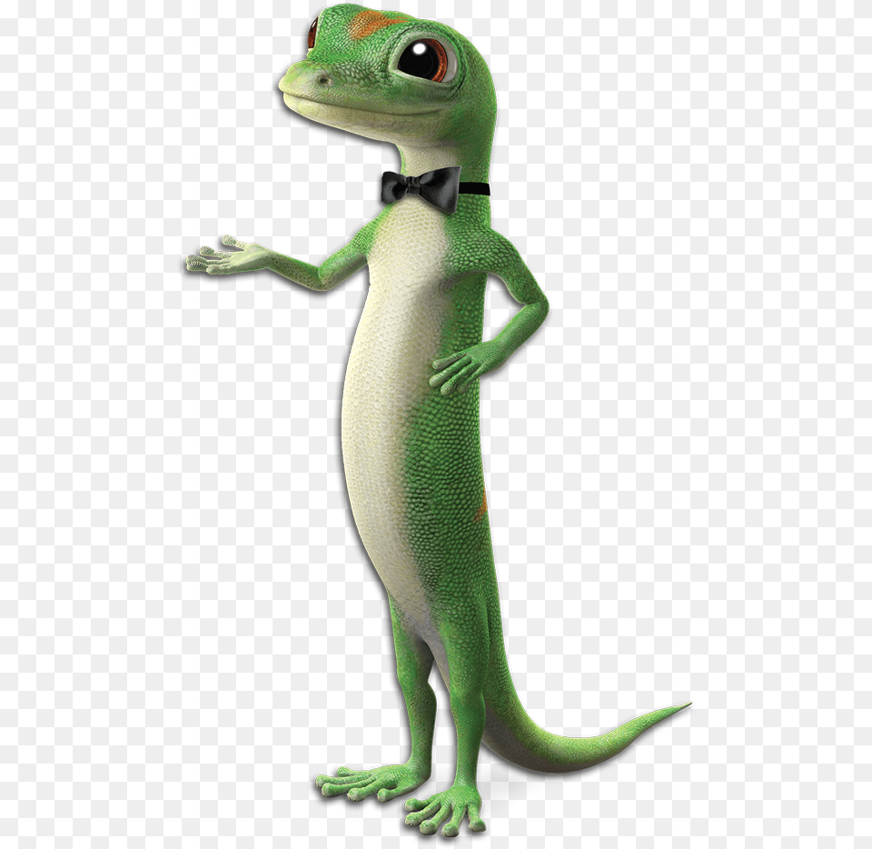 Geico Lizard Geico Gecko, Animal, Reptile, Green Lizard Free Png Download