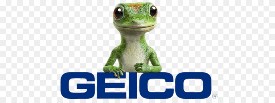 Geico Logo With Gecko, Animal, Lizard, Reptile, Green Lizard Png