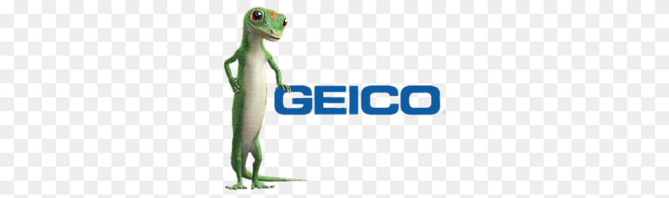 Geico Logo With Gecko Standing, Animal, Lizard, Reptile, Green Lizard Png