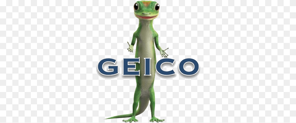 Geico Uxui Designer Geico Gecko, Animal, Lizard, Reptile, Green Lizard Free Transparent Png