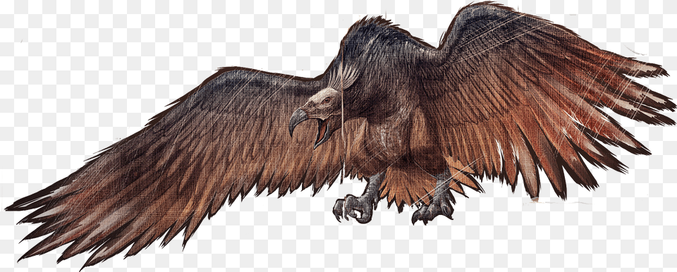 Geier Argentavis Ark, Animal, Bird, Vulture, Beak Png Image
