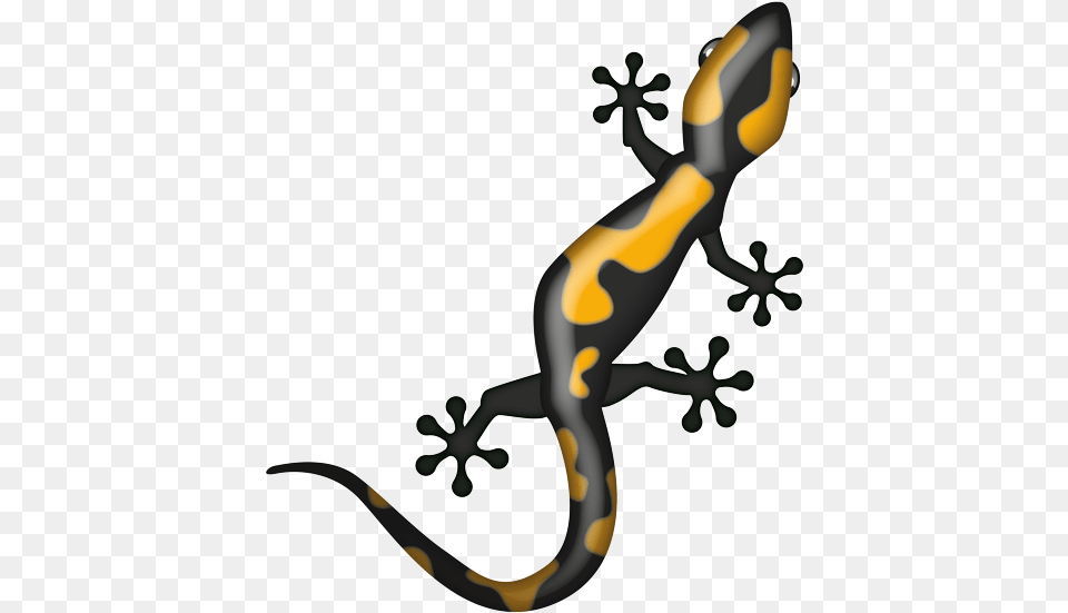Gekkonidae, Amphibian, Animal, Salamander, Wildlife Png