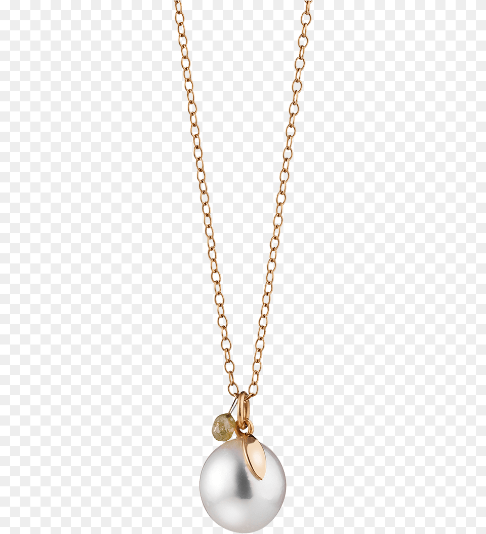 Gellner Perlen Halskette Locket, Accessories, Jewelry, Necklace Free Transparent Png