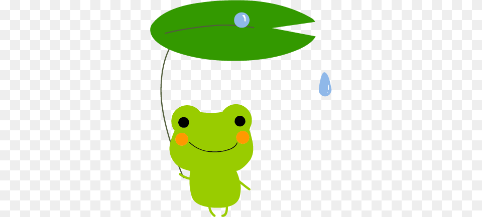 Gem Smart Oh Toad Frog Frog Clipart Toad Clip, Green, Amphibian, Animal, Wildlife Free Transparent Png