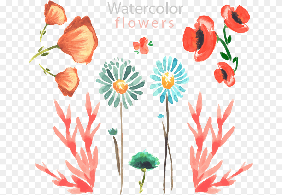 Gemalte Bilder Mit Wasserfarben, Flower, Plant, Petal, Daisy Png Image