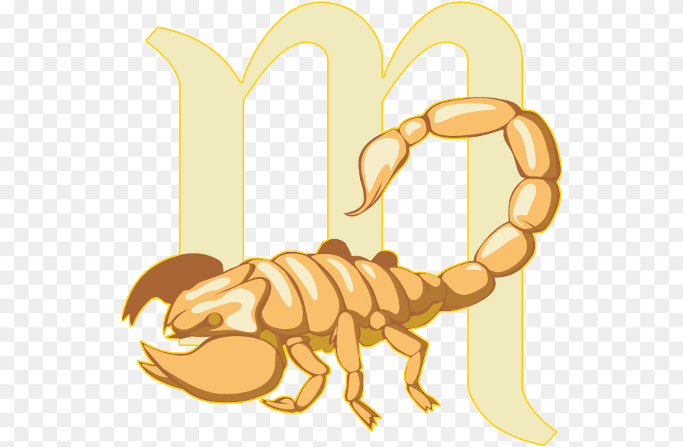 Gemini Vector Scorpio Horoscope Horoscope, Animal, Invertebrate, Scorpion, Kangaroo Free Png Download