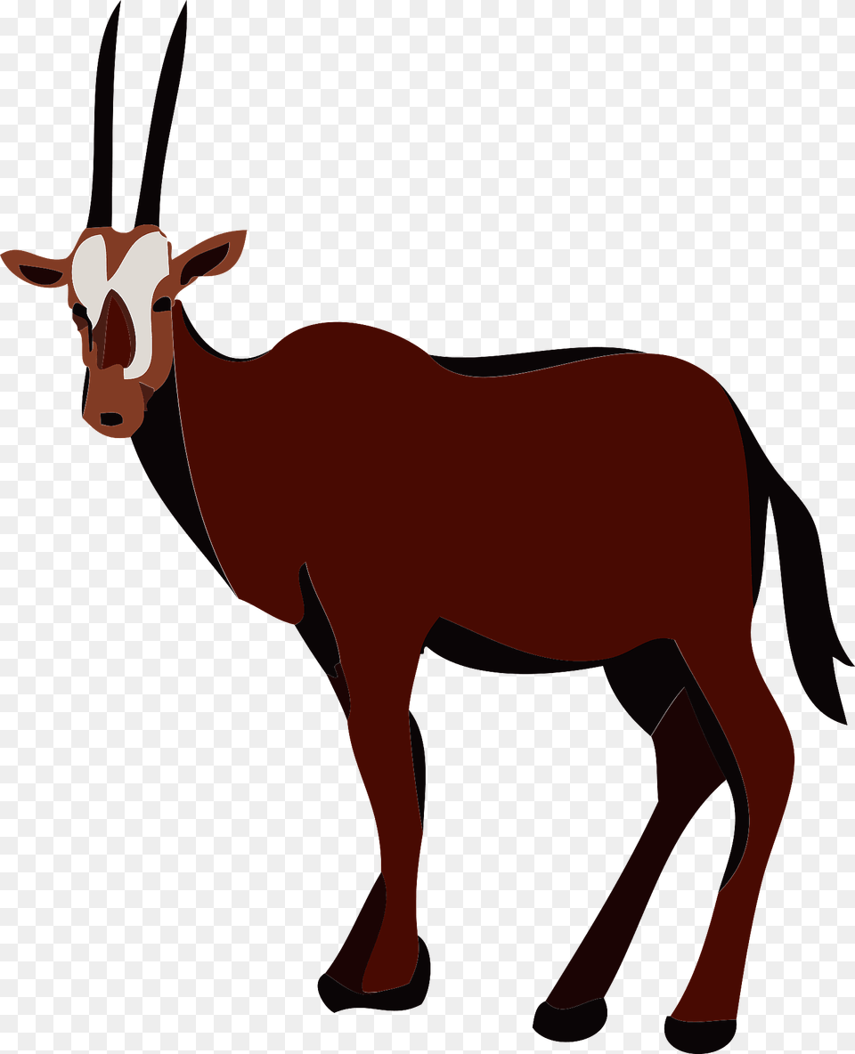 Gemsbok Animal Large Antelope Clipart, Mammal, Gazelle, Wildlife, Kangaroo Free Transparent Png