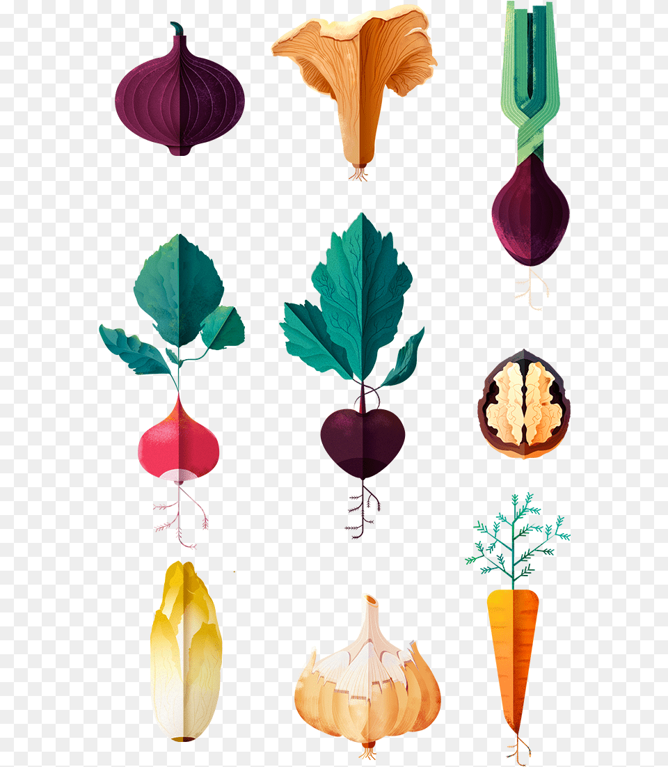 Gemse Grafik, Leaf, Plant, Fungus, Flower Free Transparent Png