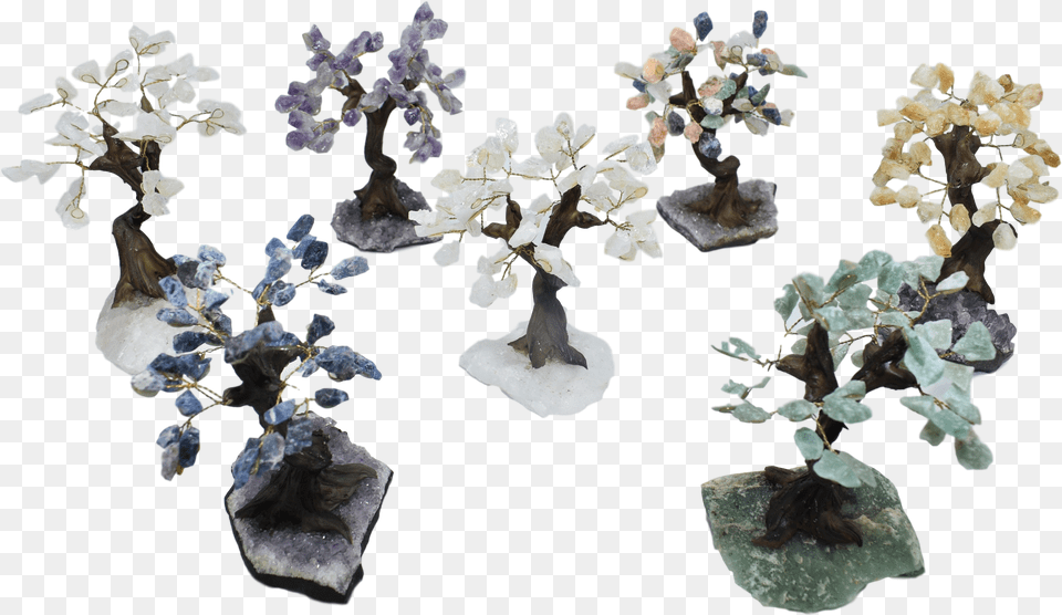 Gemstone Bonsai Tree Tree, Accessories, Crystal, Mineral, Plant Png