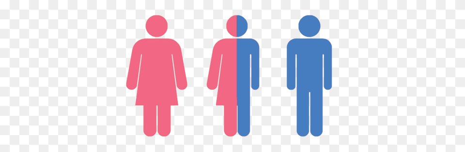 Gender Image, Clothing, Coat, Adult, Male Png